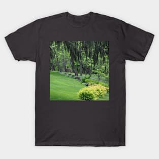 Deer In The Yard T-Shirt